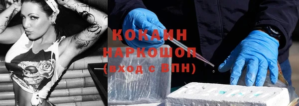 индика Алексин