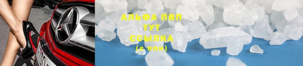 индика Алексин