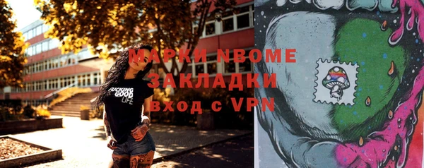 индика Алексин