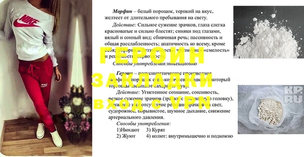 apvp Алзамай