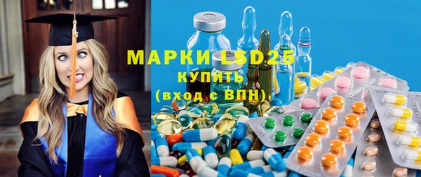 apvp Алзамай