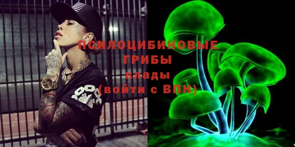 индика Алексин