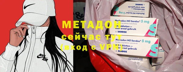 индика Алексин