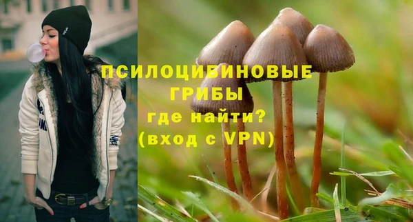 индика Алексин