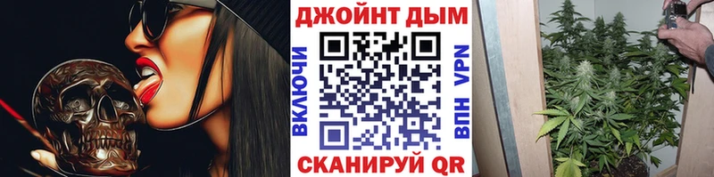 Бошки Шишки планчик  Казань 